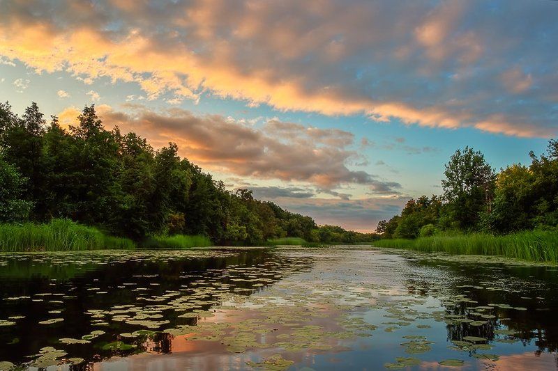 У реки. фото превью