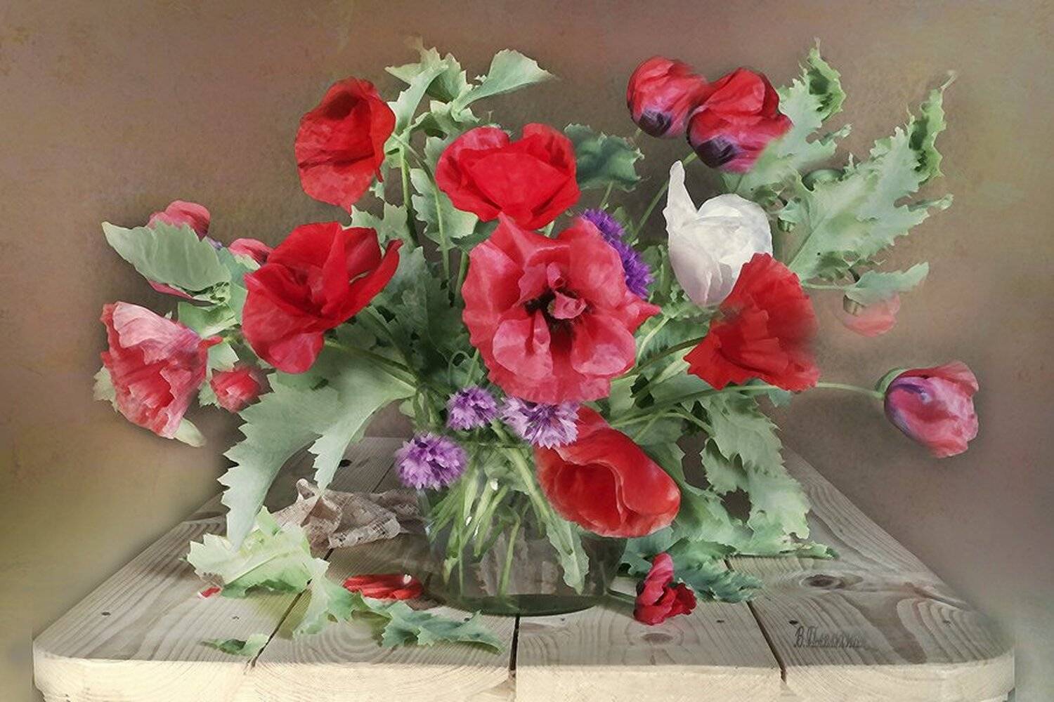 Букет с маками, Красные маки, Маки, Вера Павлухина