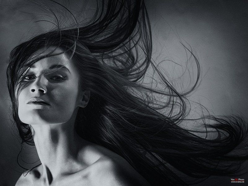 Rebel Yell фото превью