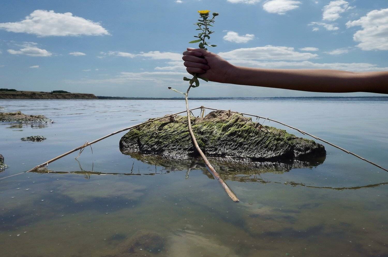 , Сергей Кошелев