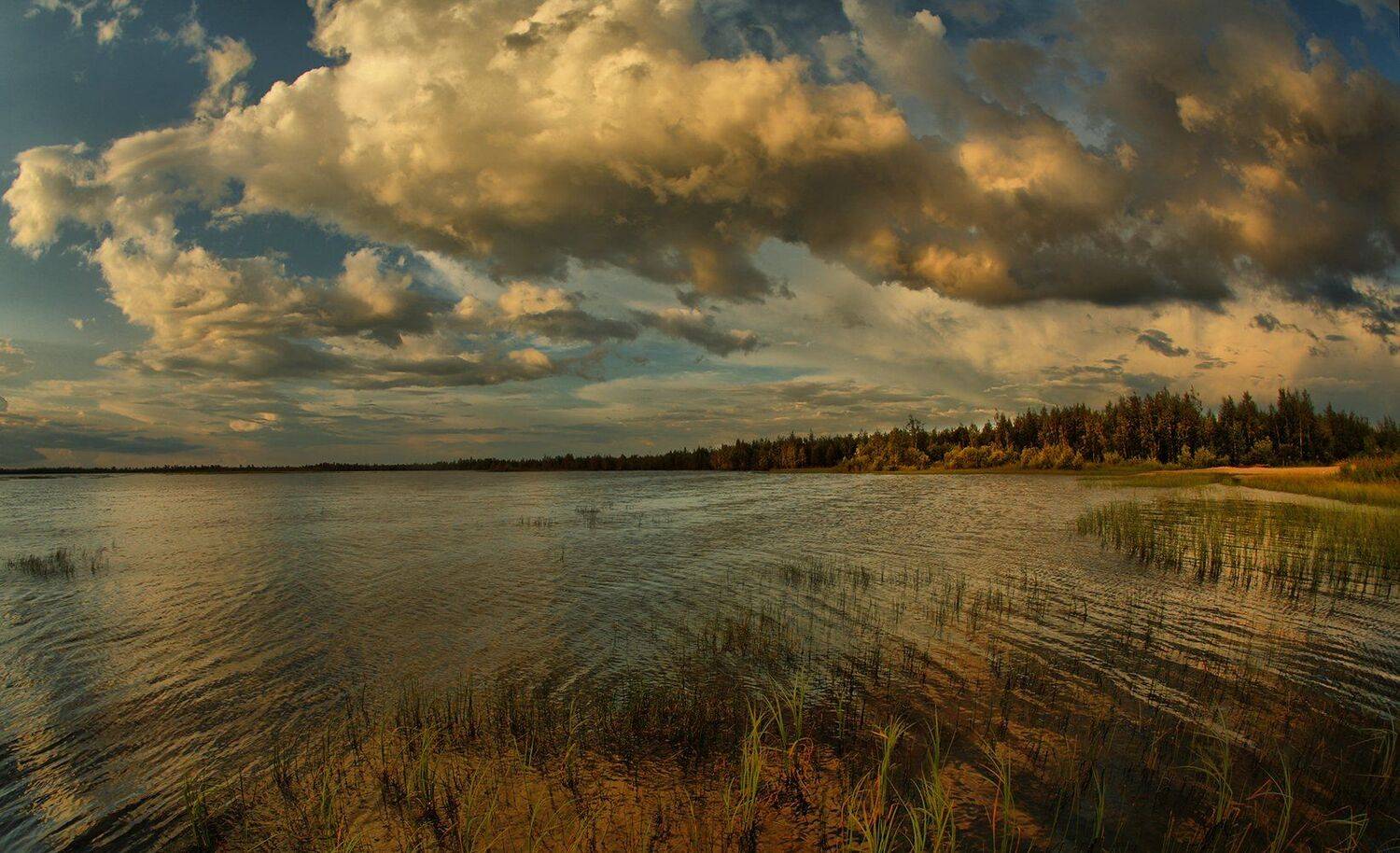 , Борис Полозков