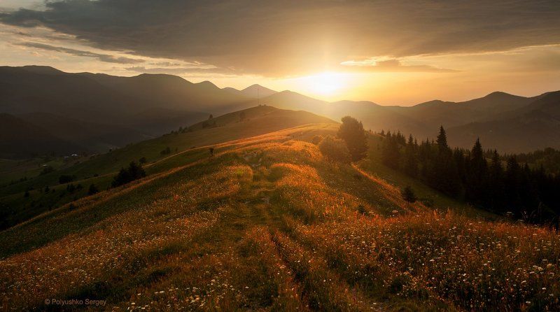 Горы, Дземброня, Закат, Карпаты, Косарище, Пейзаж, Солнце, Украина *** фото превью