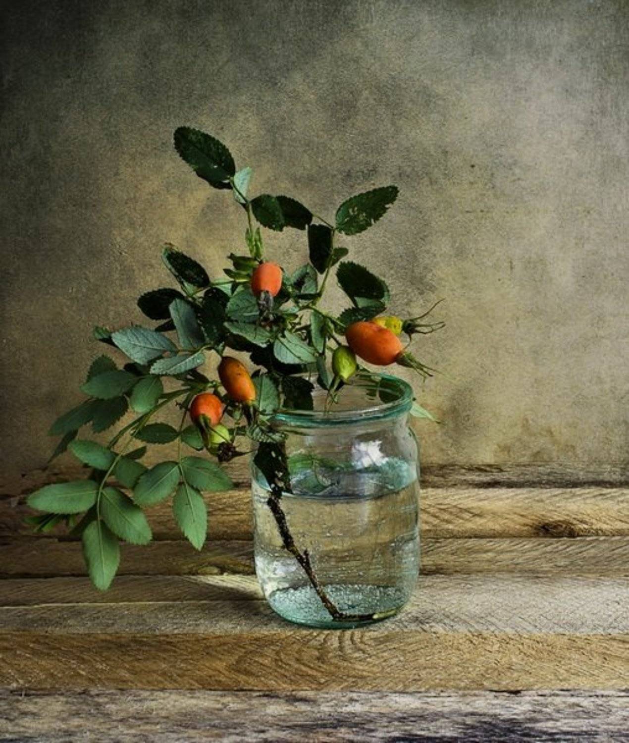 , Михаил Анисимов