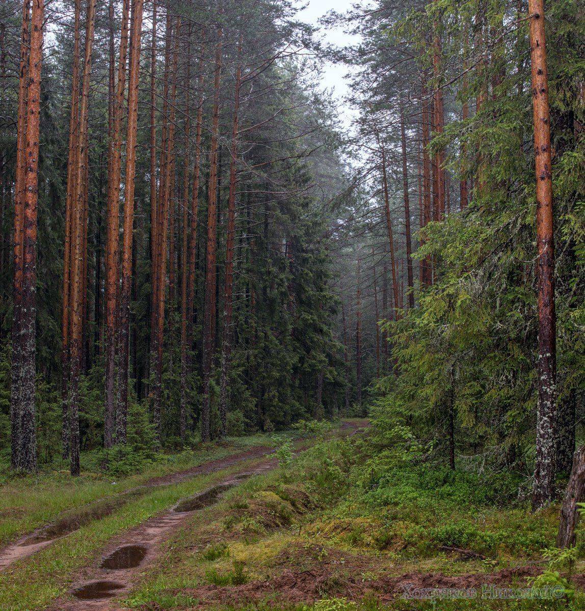 , Хохряков Николай