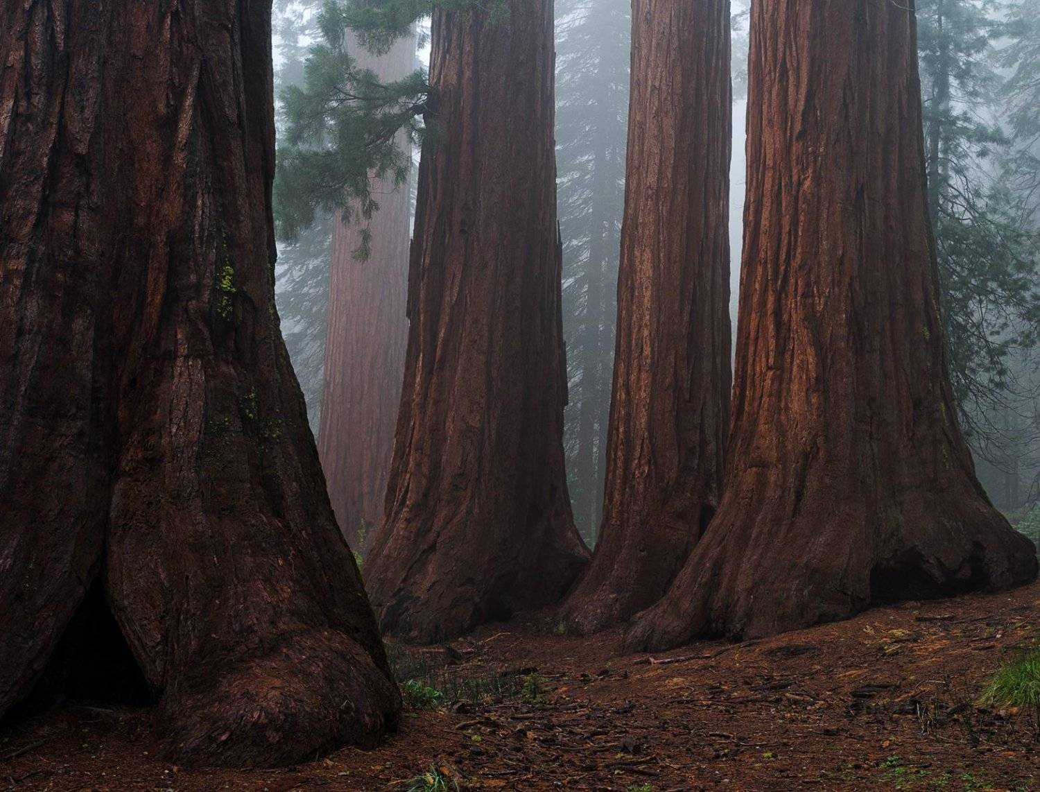 , Alexander Ravin (www.worldwidephoto.ru)