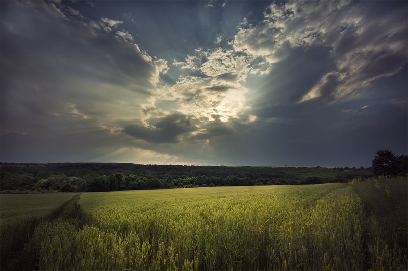 *** фото превью
