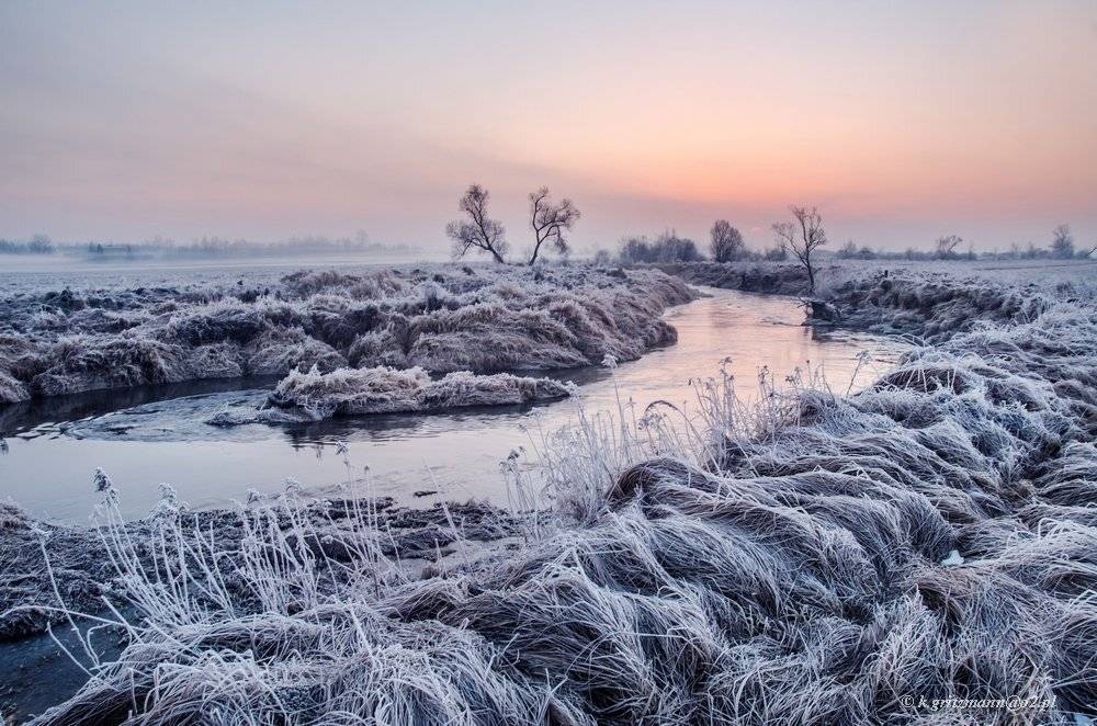 , Katarzyna Gritzmann