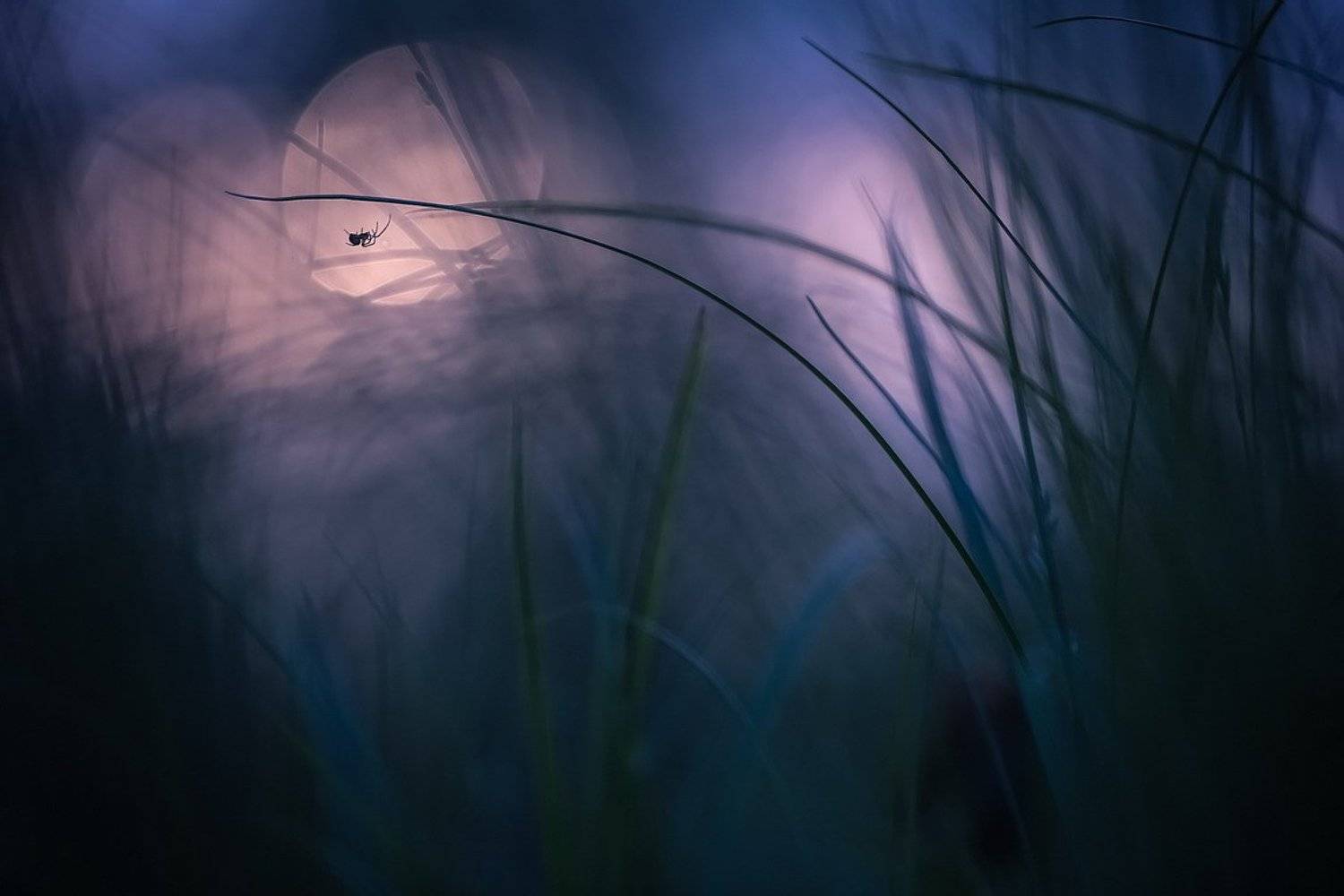 , Вячеслав Мищенко