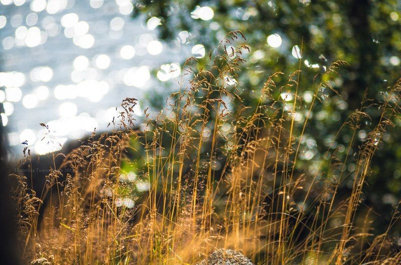 окрестности Ласанен, Карелия фото превью