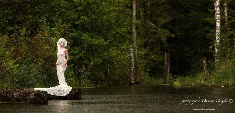 &___ фото превью