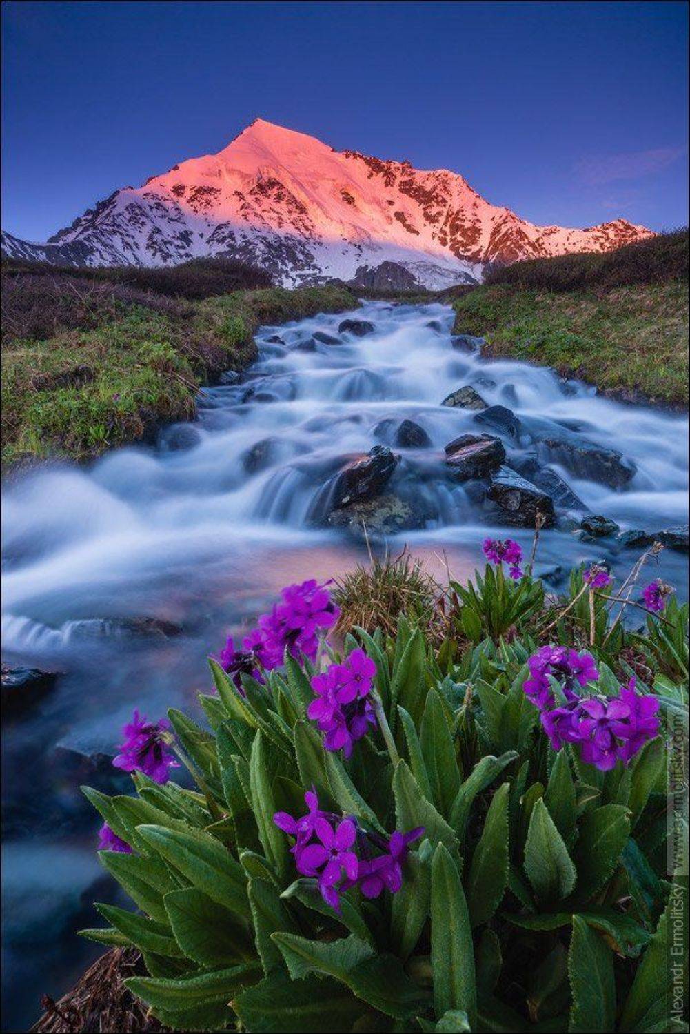 Altai, Алтай, Александр Ермолицкий