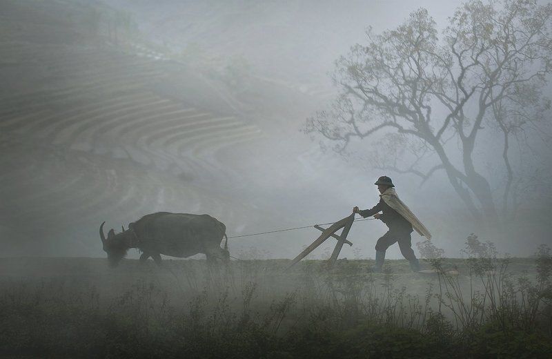 Vào Mùa фото превью