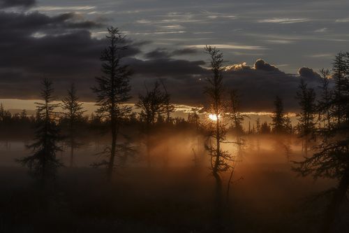 Рассветный час