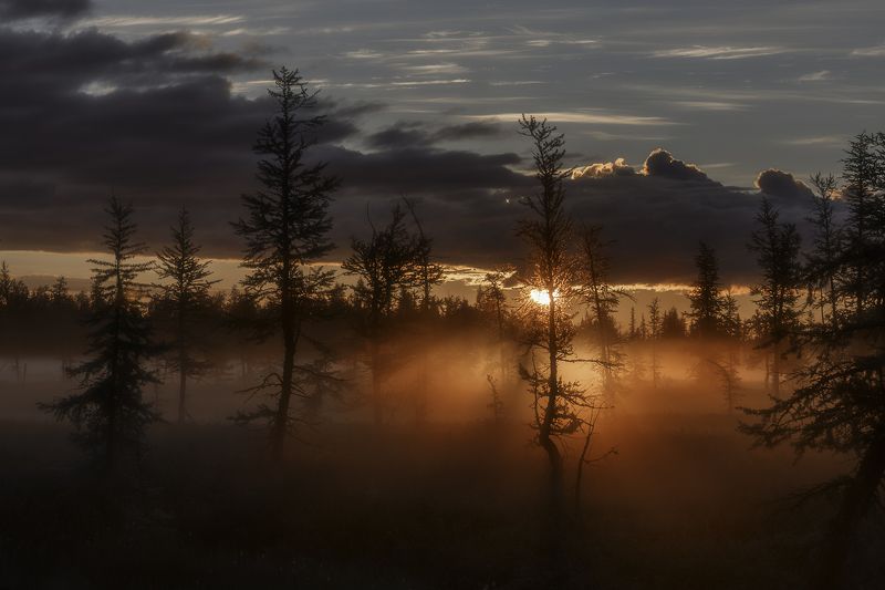новыйуренгой, уренгой, ямал,  янао, камиль, камильнуреев, россия, рассвет, тундра, лесотундра, туман Рассветный час фото превью