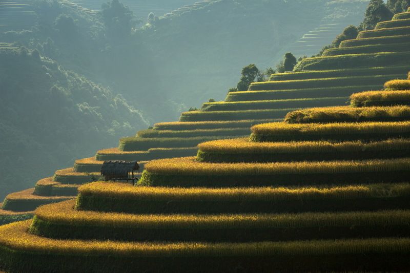 Beauty In Nature, Color Image, Field, Green Color, Horizontal, Land, Layered, Mountain, Nature, No People, Outdoors, Photography, Rice Paddy, Rural Scene, Sunlight, Terraced Field, Tranquil Scene, Vietnam Two layer фото превью