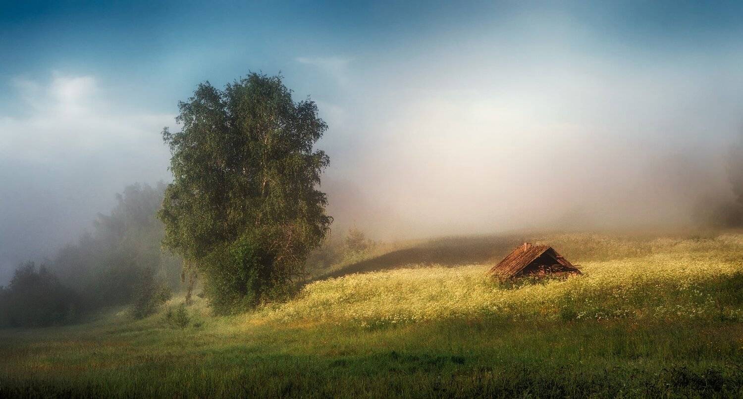 , Владимир Липецких