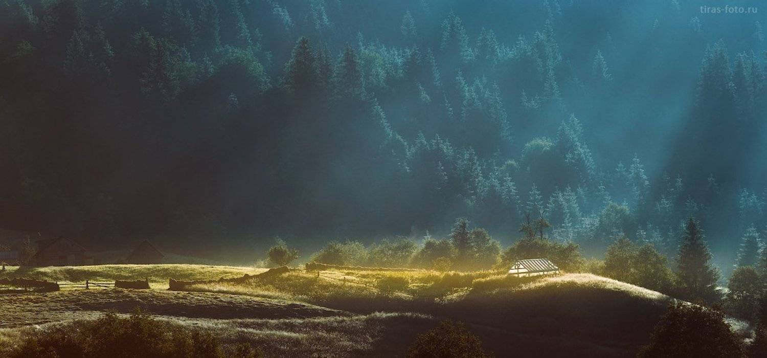 Карпаты, горы, рассвет, лето, туман, Петренко Алёна