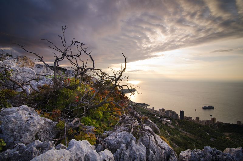 Монако, Лазурный берег, Монте-Карло, Monaco, Cote d\'Azur, Monter-Carlo Над Монако небо сине фото превью