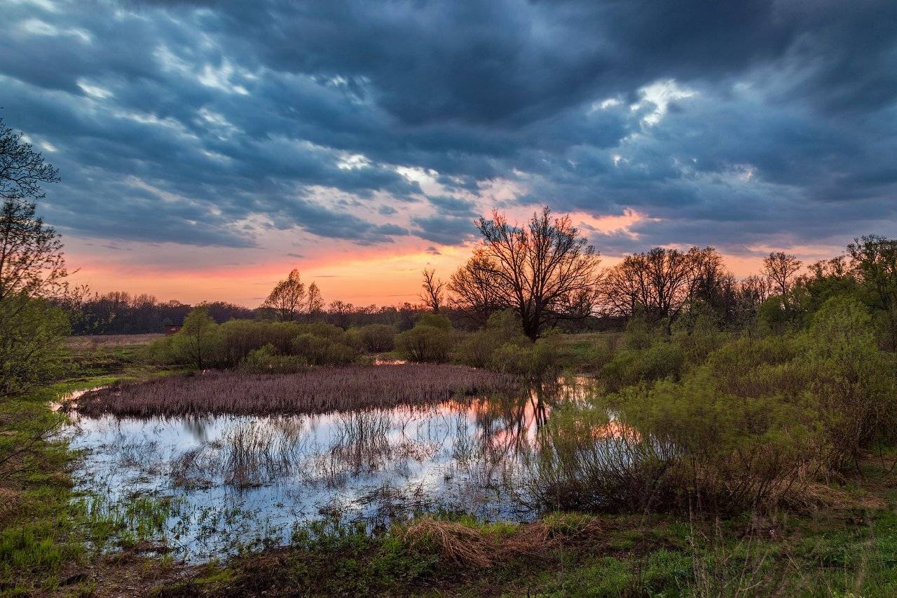 Болото, Закат, Марусино, Моршанск, Моршанский район, Поселок, Природа, Тамбовская область, Сергей Вьюнов