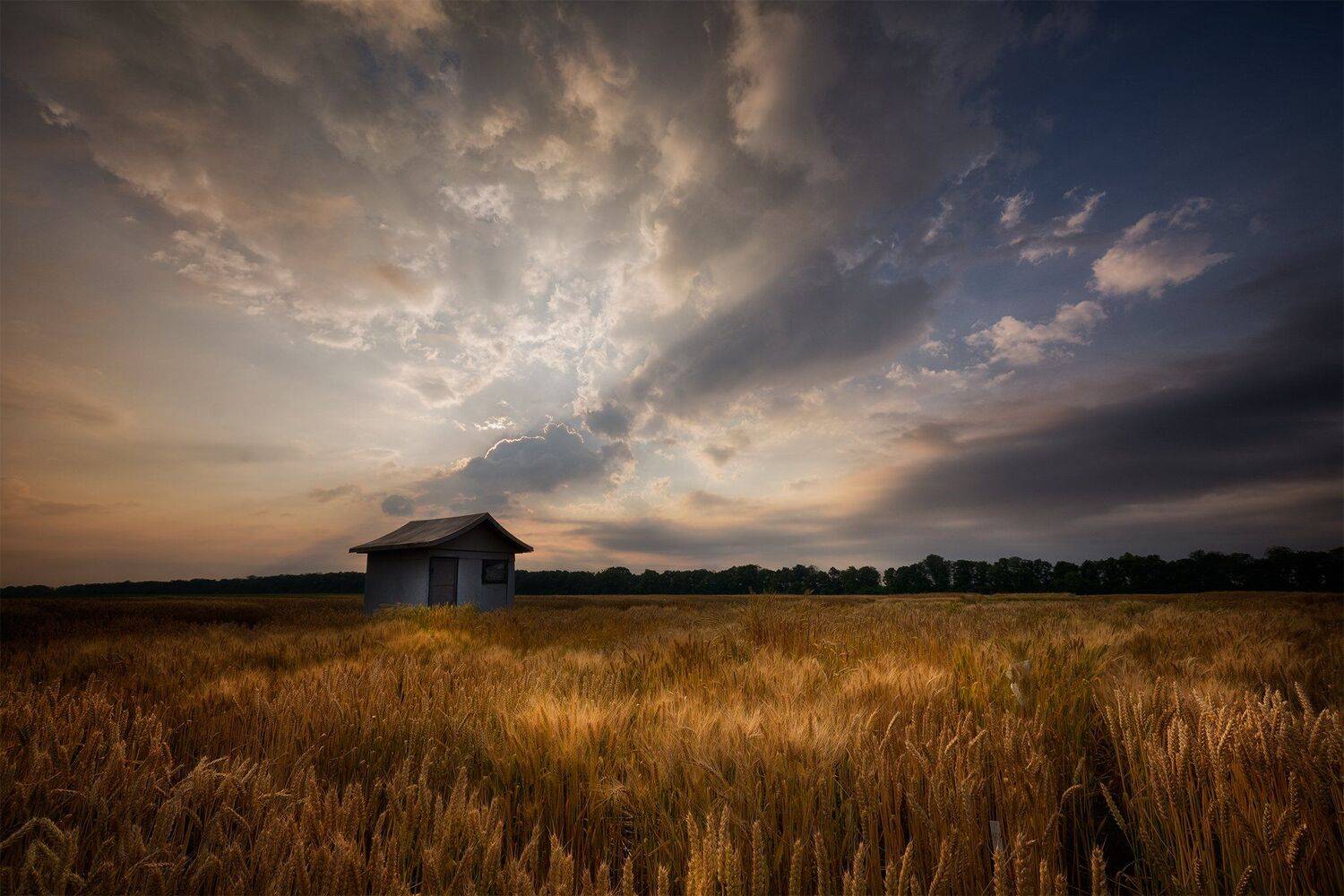 , Ева Йорданова