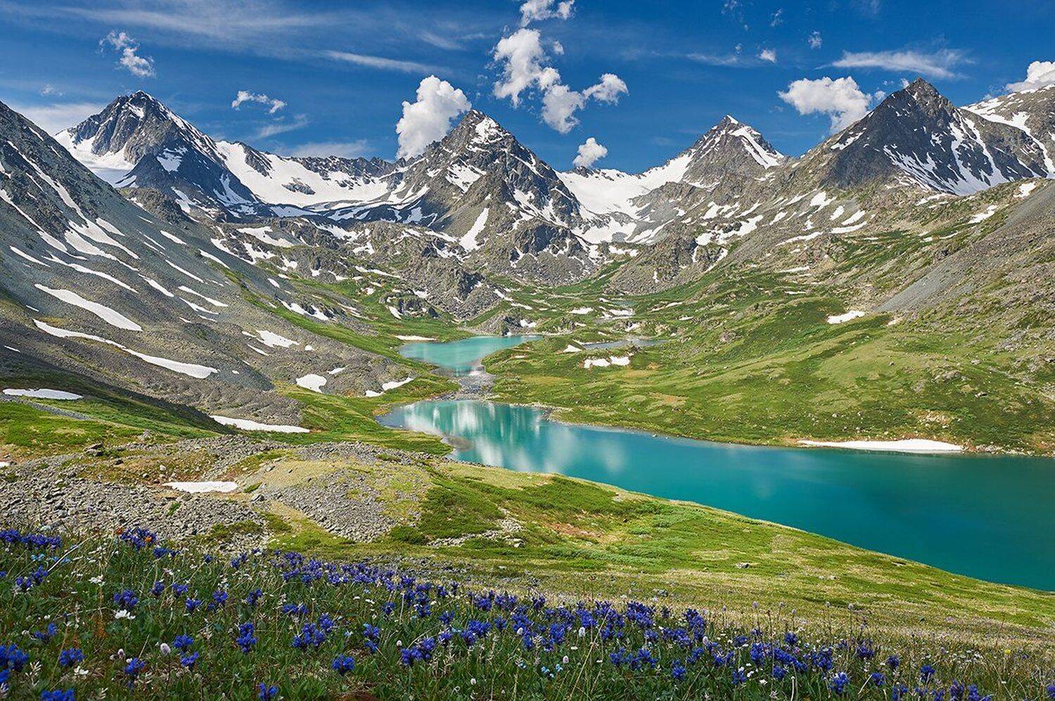 , Юра Тараник