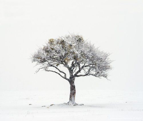 Маленькое путешествие по Карачаево-Черкесии...