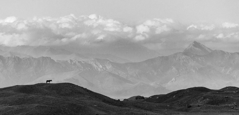 Ачик-Таш, пик Ленина, Киргизия, Памир, лошадь, горы, небо, облака На поляне Ачик-Таш фото превью