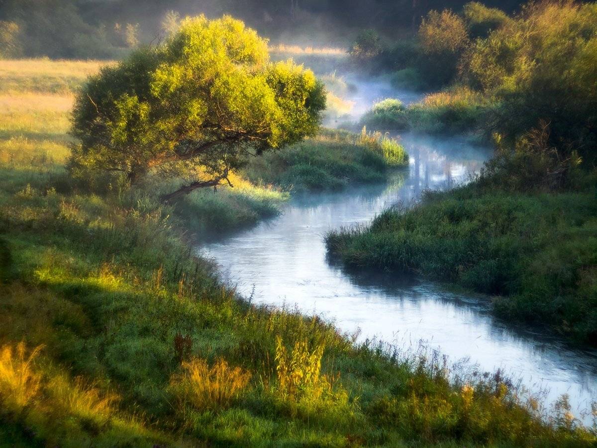 , Марина Брыдня