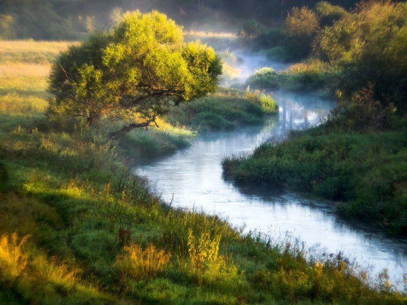 Первые лучи фото превью