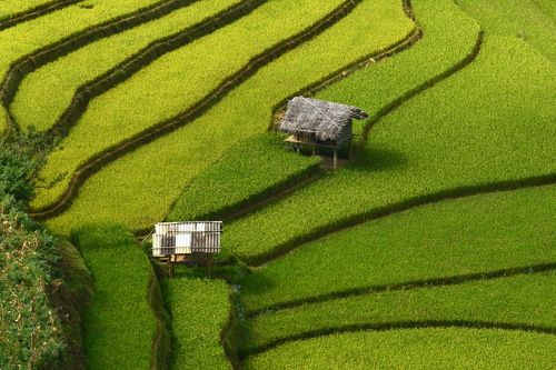 TWO home