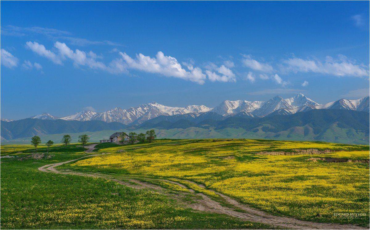 , Кутыгин Эдуард