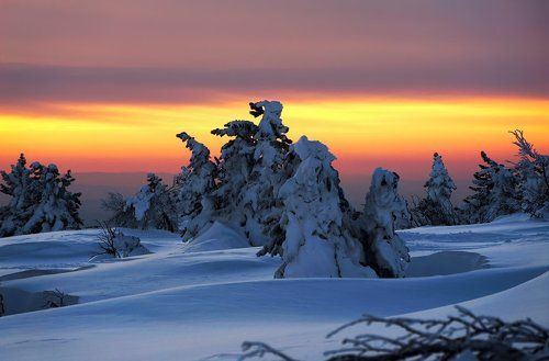 Prо пластику Сибирского вечера (2)
