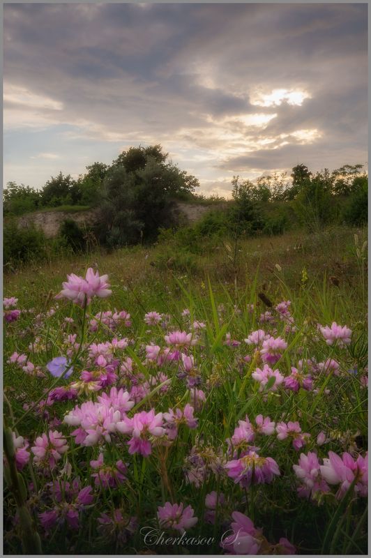фото превью