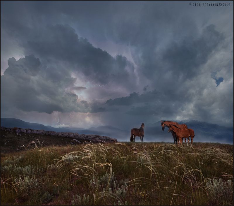 Семейный портрет фото превью