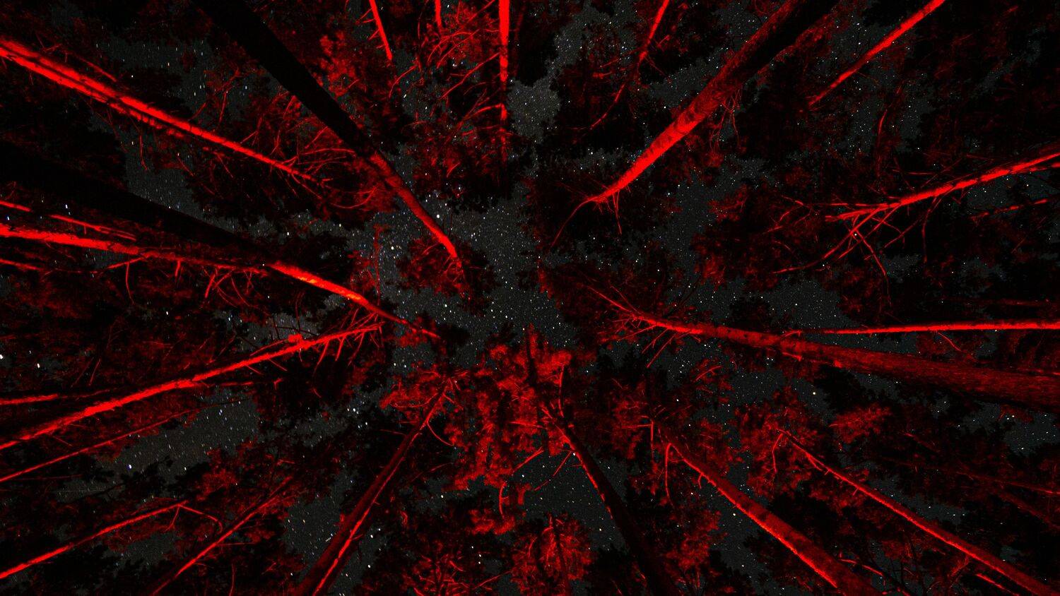 , Немшон Андрей