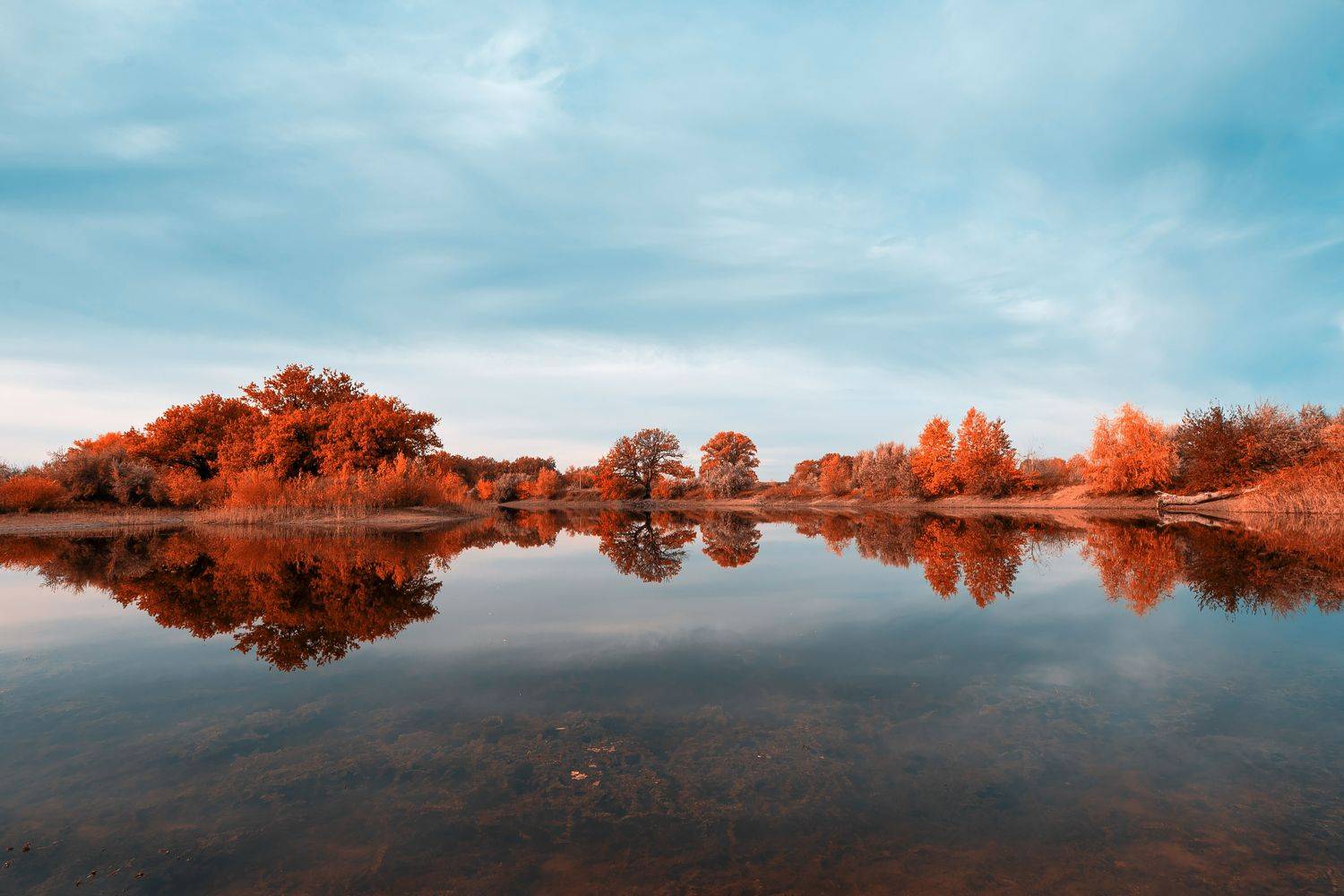 landscapes, volgograd, russia, wildlife, autumn, , Сторчилов Павел