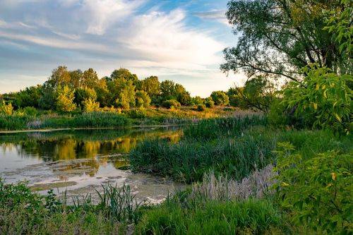 Вечер тихий, вечер теплый...