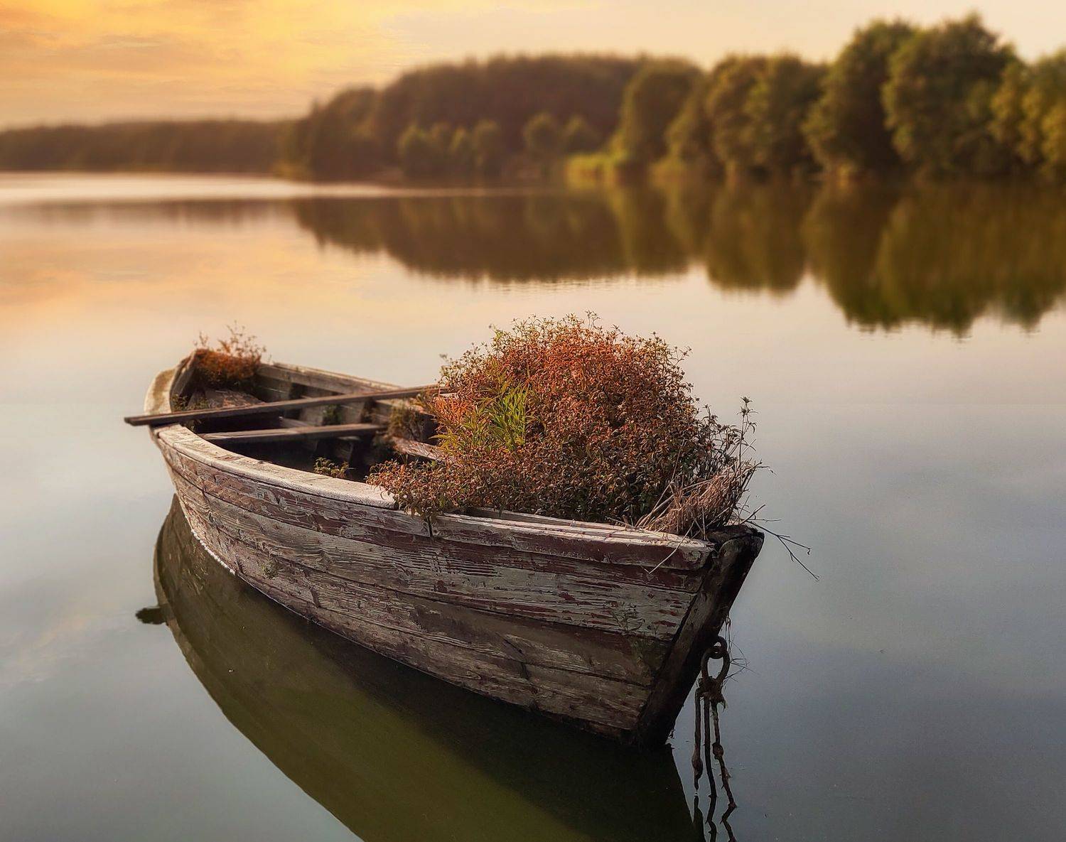 лодка,пейзаж,калиниград,смартфон,35awards, Natalia Bolotenkova