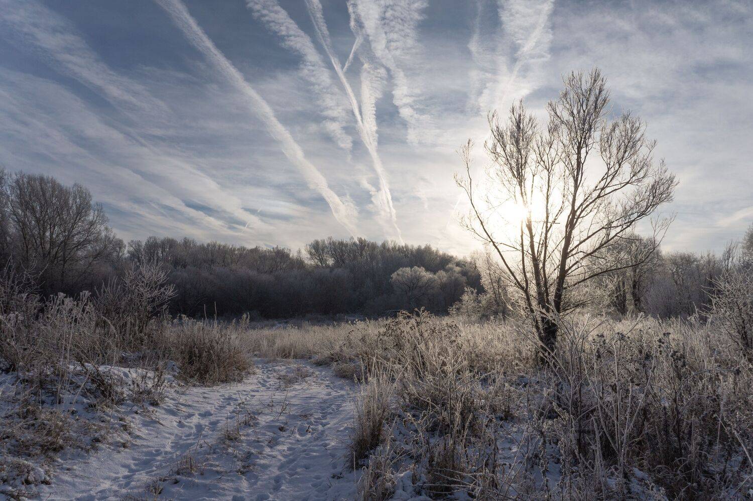 , Светлана Кондрашова