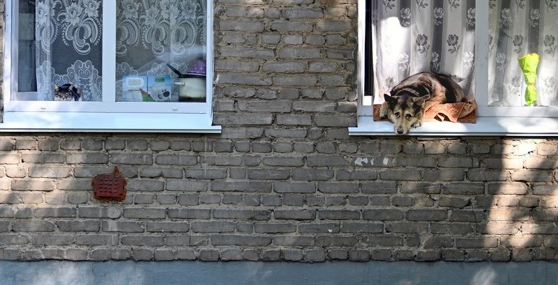 Одни дома фото превью