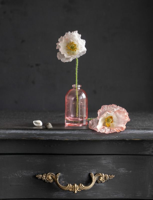 Маки фото превью