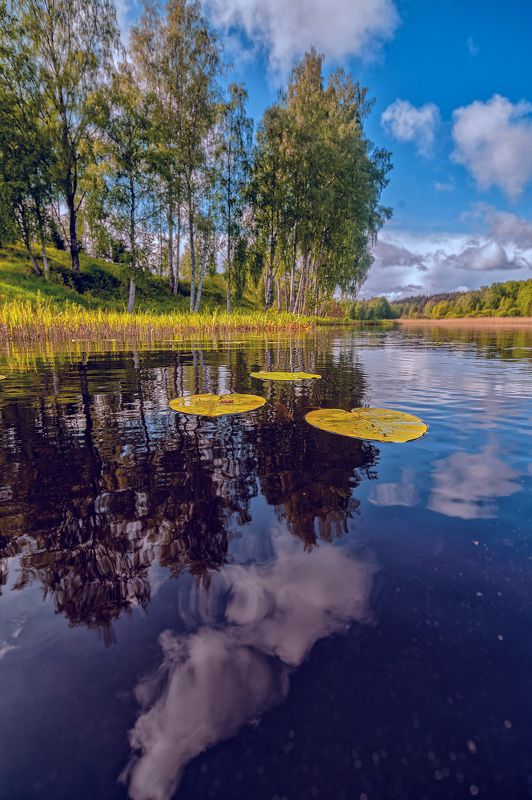 *** фото превью