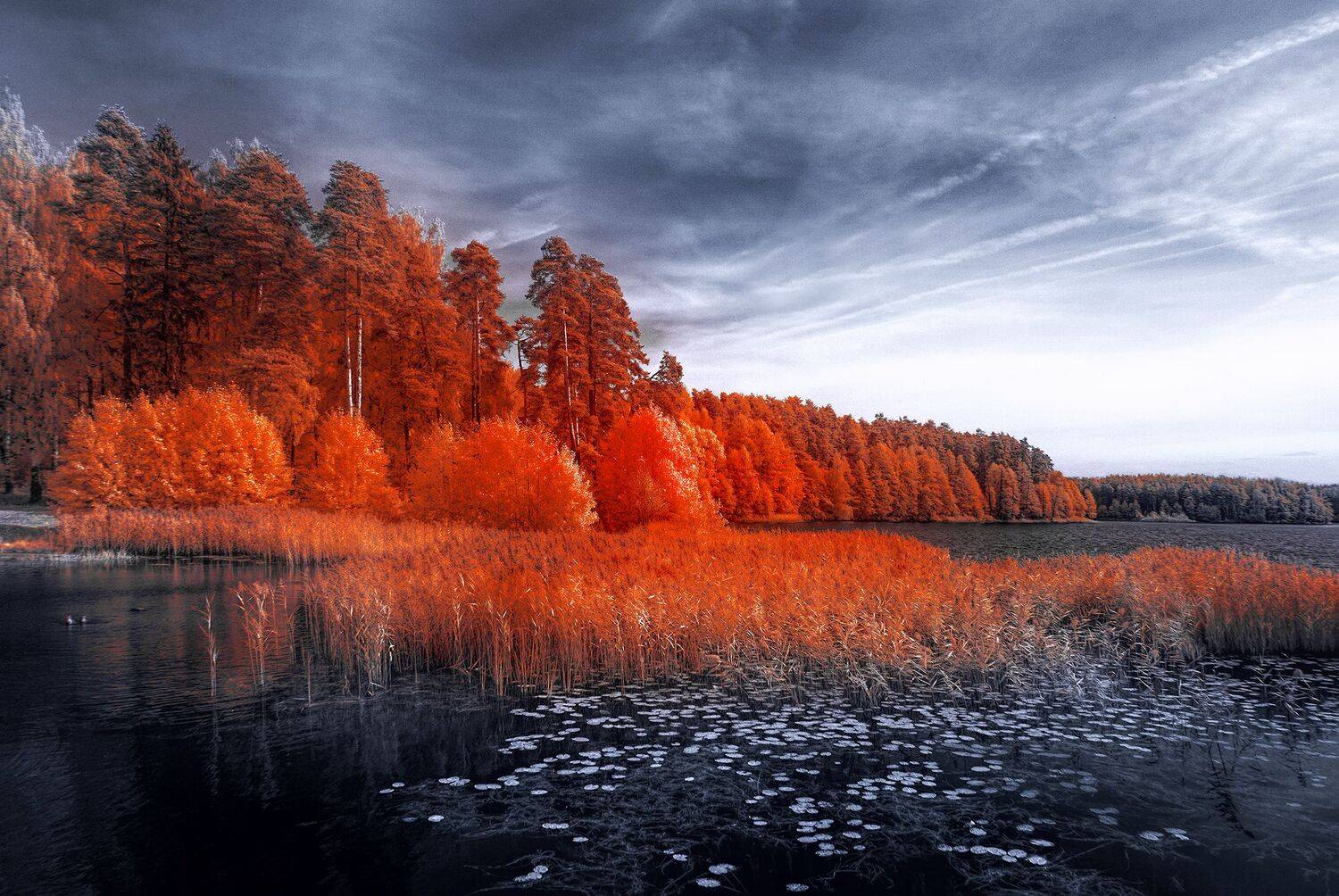 ,  Sixten (Сергей)