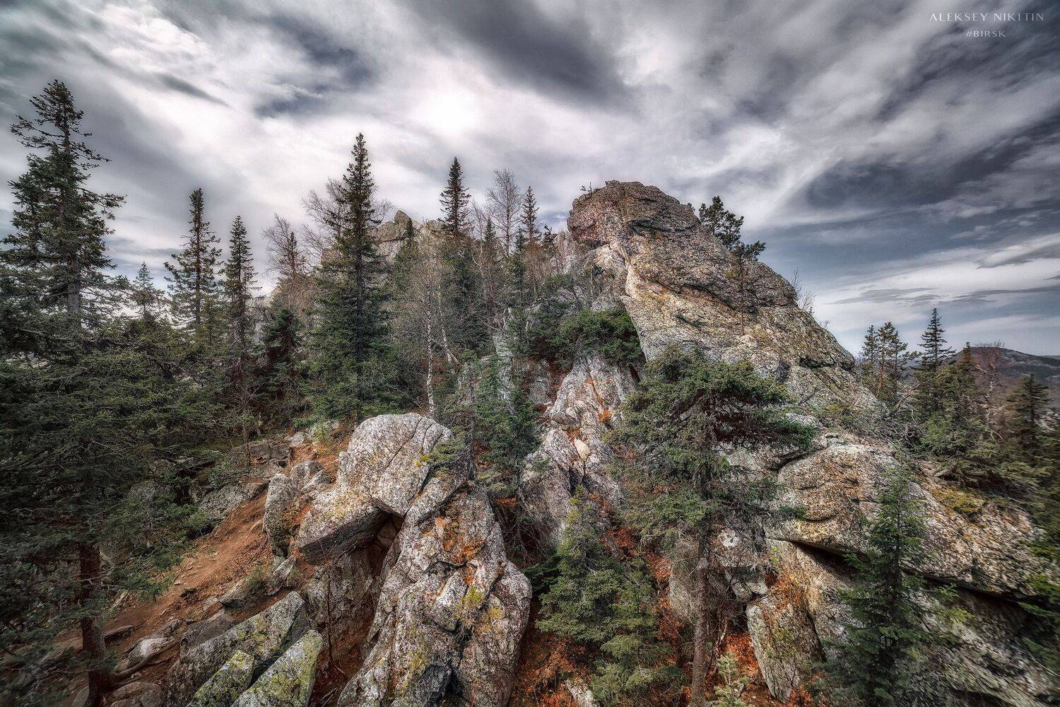 , Никитин Алексей