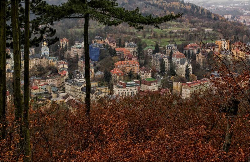 * * * фото превью