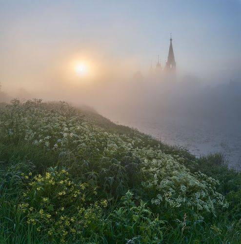 Июньское утро в Дунилово
