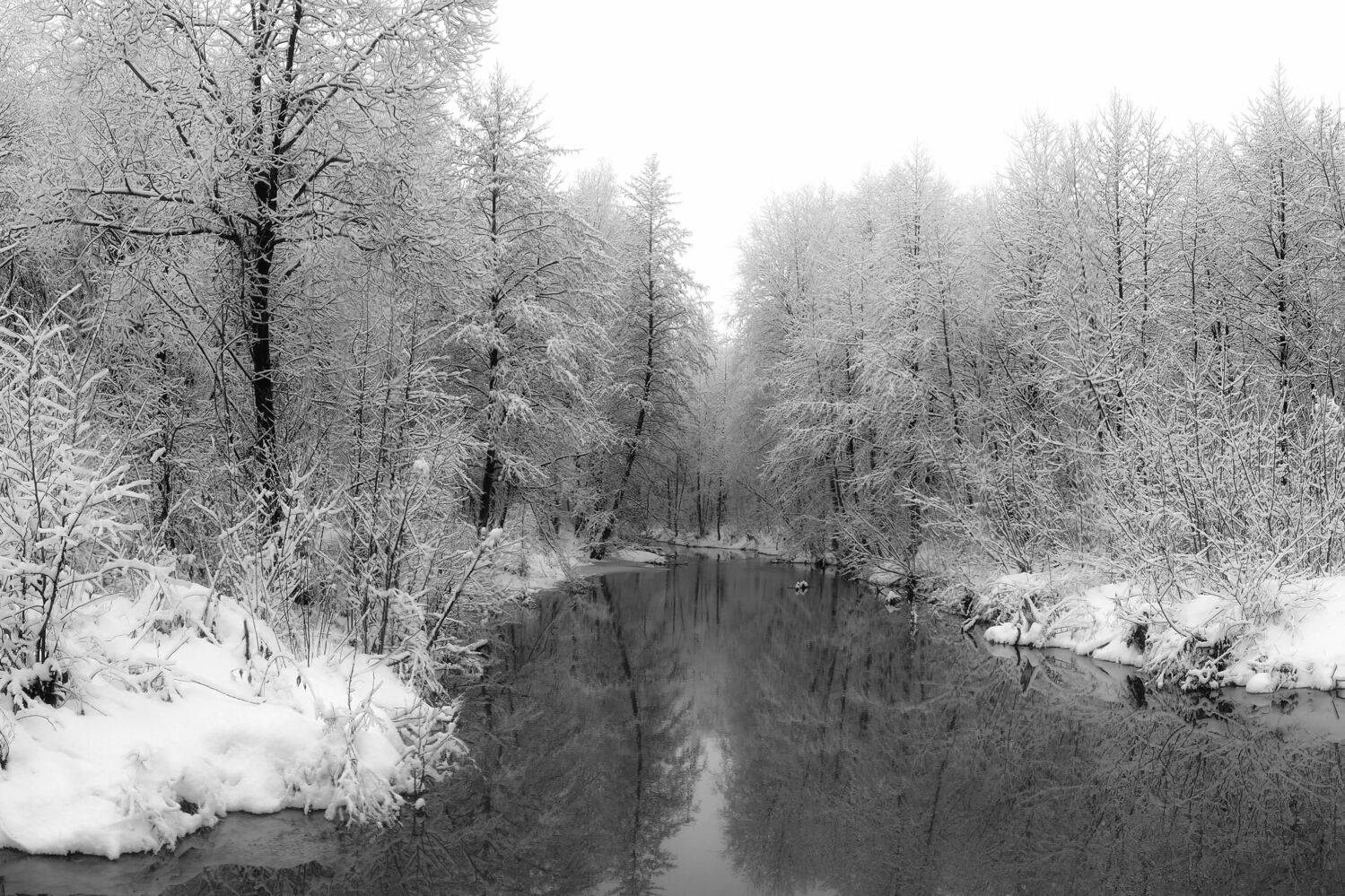 , Светлана Кондрашова