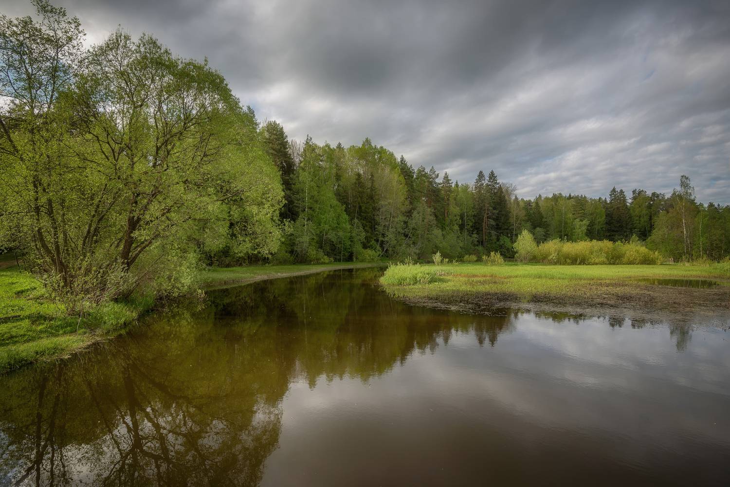 лес, река, весна, май, Сергей Аникин