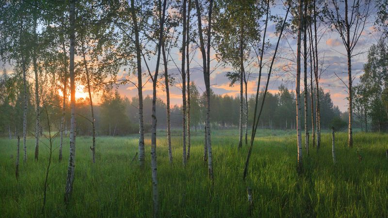 Русские мотивы . фото превью
