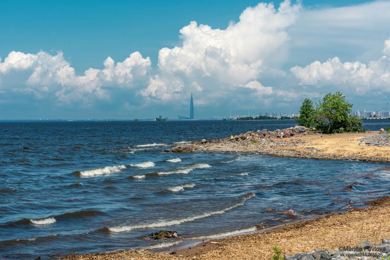 Балтийский ветер...Финский залив. фото превью